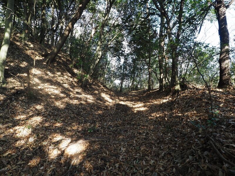 File:Yamana29.jpg