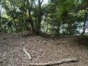 Ichijojiyama6.jpg