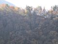 Thumbnail for version as of 04:00, 27 November 2020