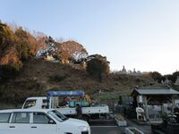 IzuOhdairashinjou05.5.JPG