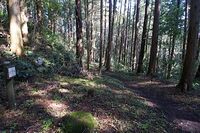 Karasuyama11.jpg