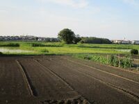 Kotsukurijou (8).jpg