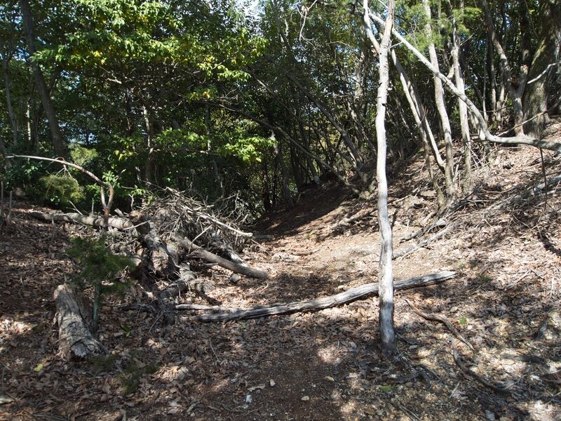 File:Matsugasakikyoto3.jpg