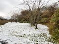 Thumbnail for version as of 10:27, 24 January 2021