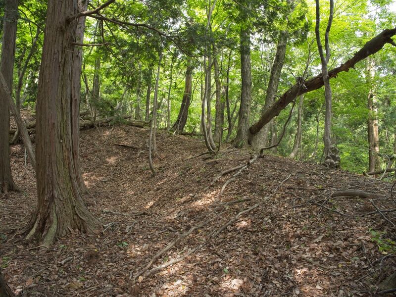 File:Shobudani14.jpg