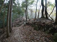 Shogunyama3.jpg