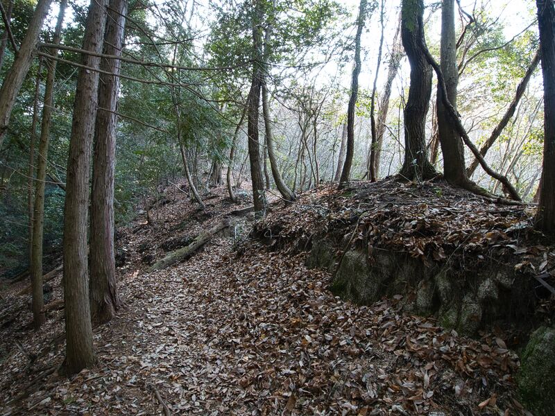 File:Shogunyama3.jpg