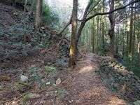 Takatori110.jpg