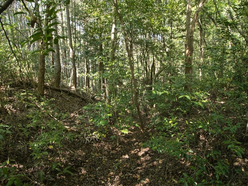 File:Yuhigaoka14.jpg