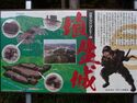 Habukyoto4.jpg