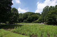 Jindaiji24.jpg