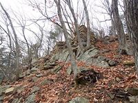 Matsuoko11.jpg