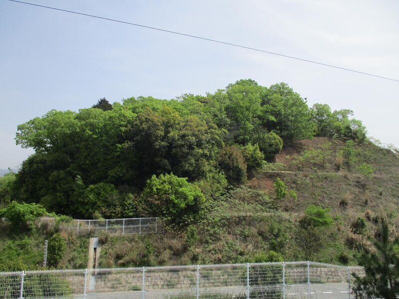 File:MikawaJinnoyajou.jpg