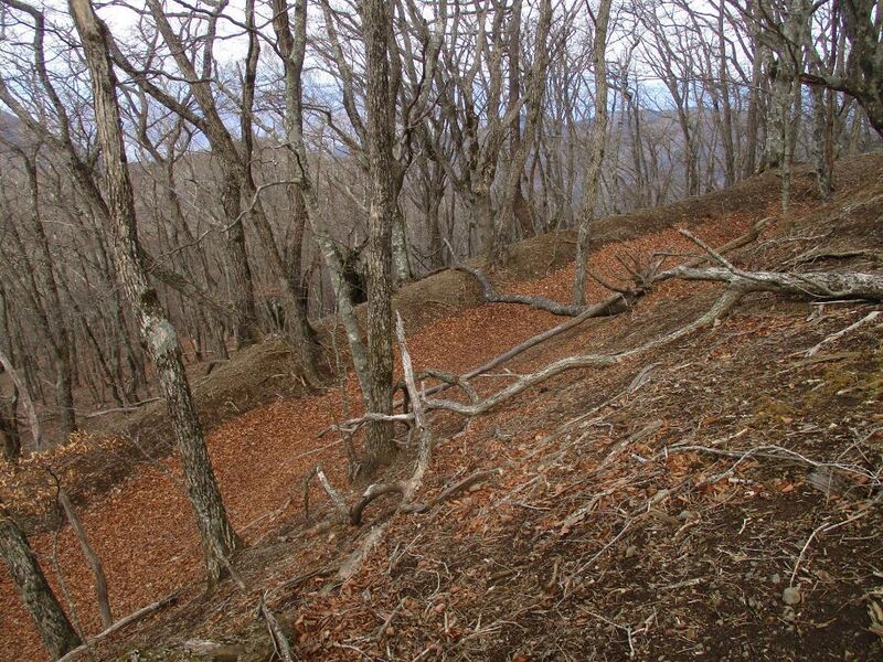File:MisakajouA (1).jpg