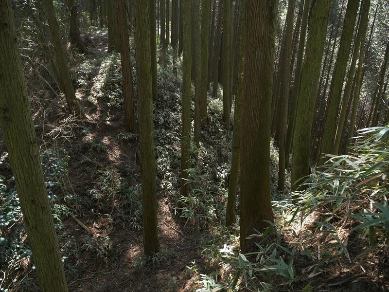 File:Ogawanakanokoka8.jpg