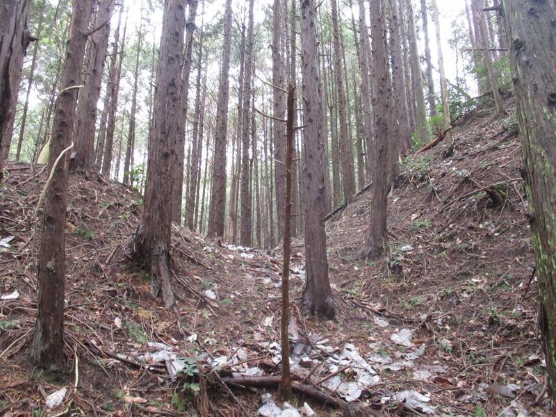 File:Shiijou (33).jpg