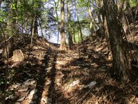 SuishouzanJin004.jpg