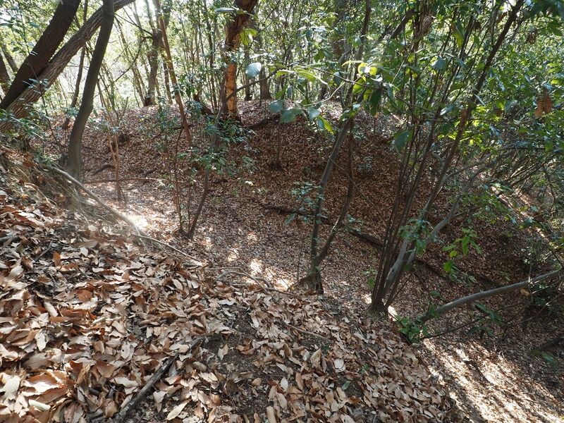 File:Yamana22.jpg
