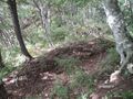 Thumbnail for version as of 20:21, 22 April 2024