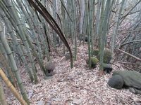 ChiisagataNakaojou (1).JPG