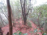 Hatsuzawajou (11).JPG