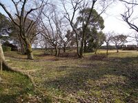 Hikone15.jpg