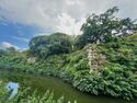 Himejimiddlemoat44.jpg