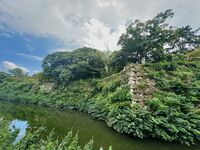Himejimiddlemoat44.jpg