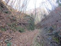 Hirasejou (4).JPG