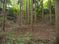Ichijodani-yamajiro57.jpg