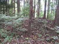 Koyabajou (4).jpg