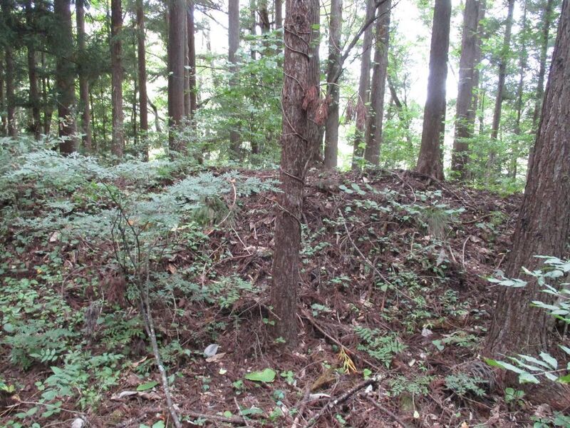 File:Koyabajou (4).jpg