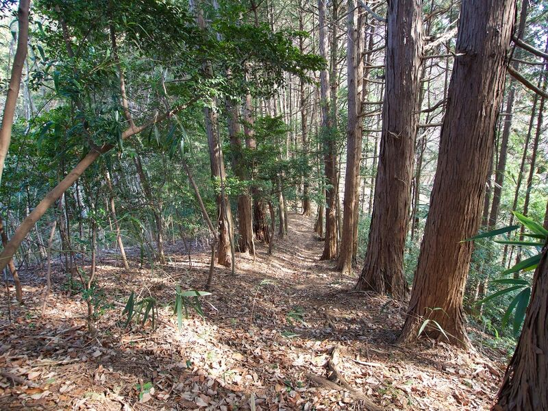 File:Manago8.jpg