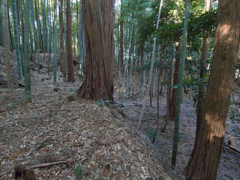 File:Mochizukikoka7.jpg