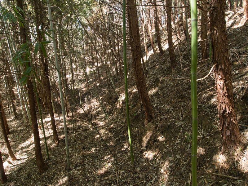 File:Shimoyamakita12.jpg