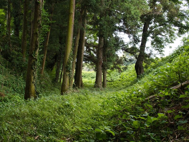 File:Shiroi7.jpg