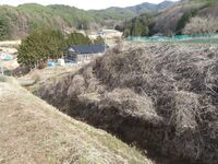Uenotairajou (2).JPG