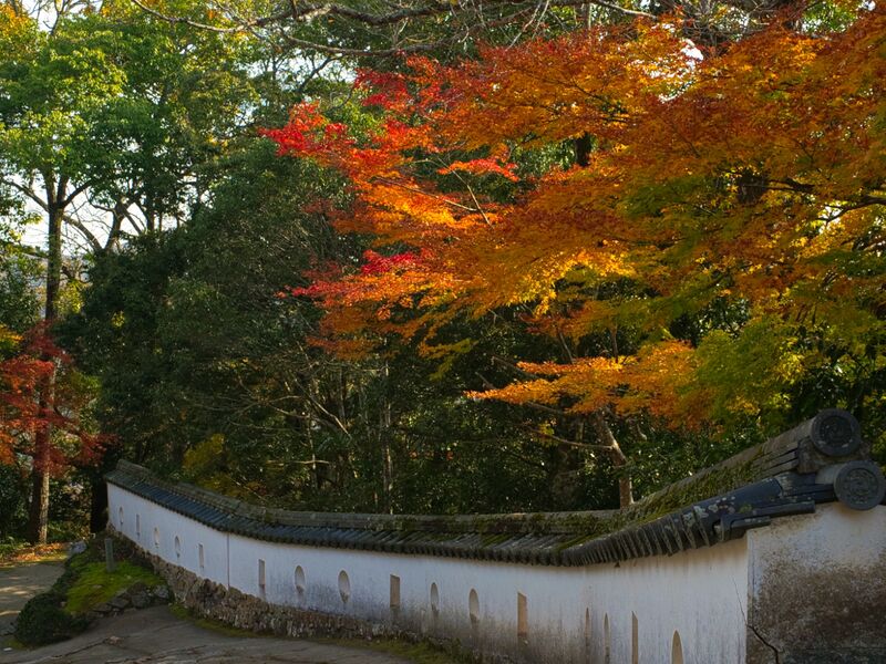 File:Bitchumatsu9.jpg