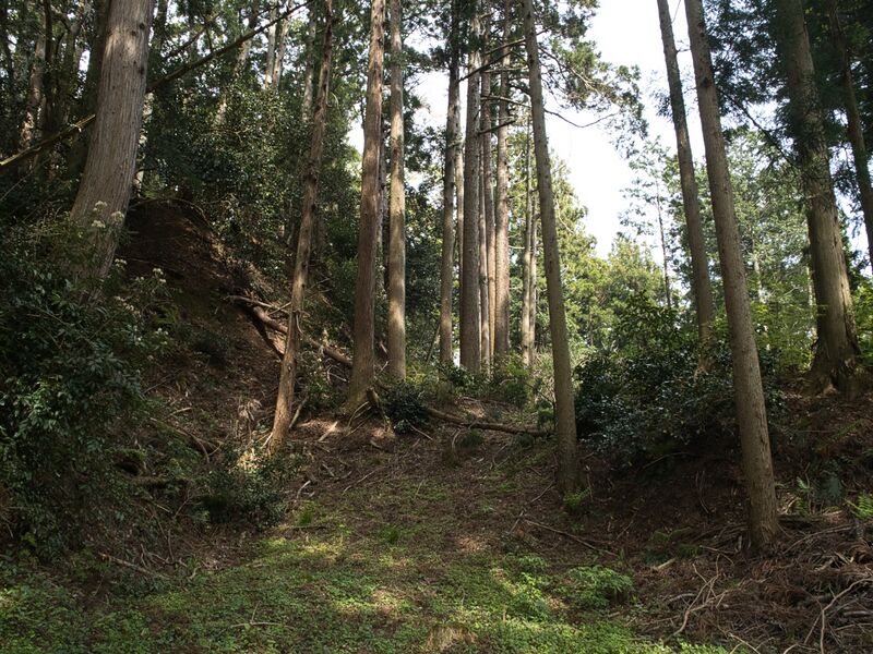 File:Chausuyamashizu3.jpg
