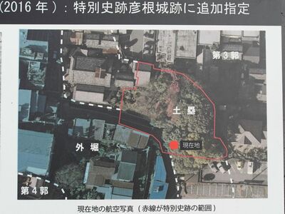 Doruihikone2.jpg