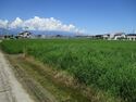 KaiImaiYashiki (2).JPG
