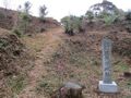 Thumbnail for version as of 10:25, 9 June 2024
