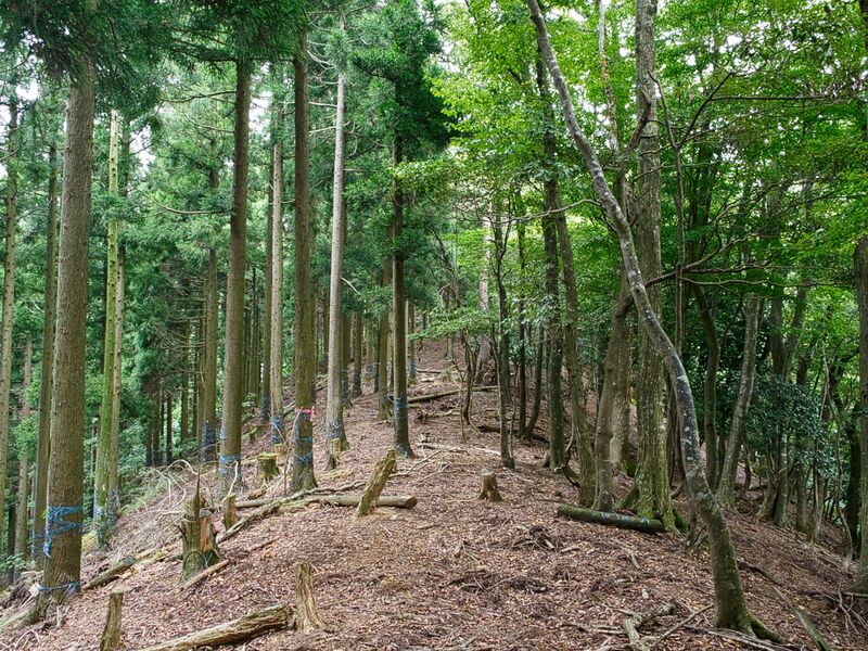 File:Kumagawadejiro2.jpg