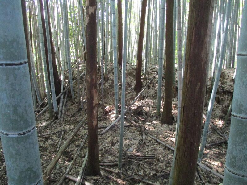 File:NukataTashirojou003.jpg