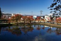 Yonezawa11.jpg