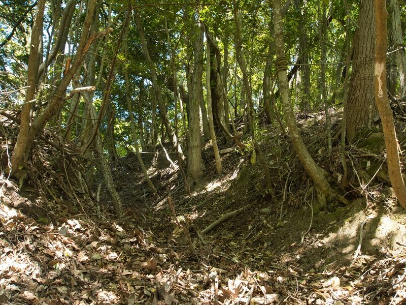 File:Kokururi33.jpg