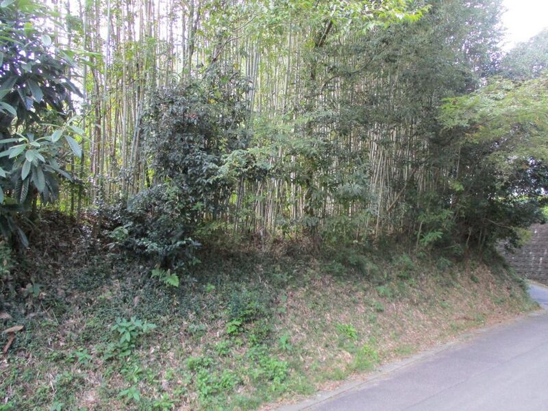 File:MikawaOhsawajou004.jpg