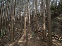 Shigisan44.jpg