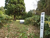 Wakimoto27.jpg