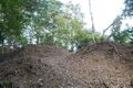 Thumbnail for version as of 13:33, 24 June 2017